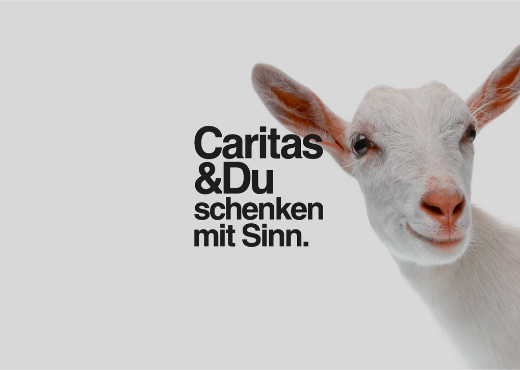 weiße Ziege schaut in die Kamera